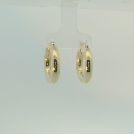 14K YELLOW GOLD POLISHED TUBE HOOPS 4MM FAMILY